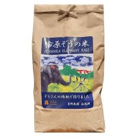 「市原ぞうの米」のパッケージには人気者「ゆめ花」揮毫（きごう）の「米」の字をデザイン
