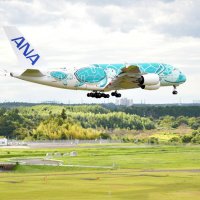 離着陸機間近に体感　芝山・航空科学博物館　１０月１日から屋上一般開放