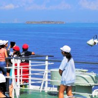 富津の小学生が特別クルーズ　海から郷土見学、船員体験