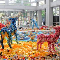 千葉国際芸術祭が本格始動　県都６エリア　市民参加型目指し初開催　県ゆかり作家や海外から出展