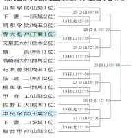 秋季関東地区高校野球　組み合わせ表