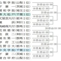 高校野球秋季関東大会　組み合わせ