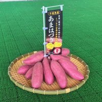 「ねっとり甘い」おいしさをイベントでＰＲした「あまはづき」
