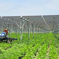 畑の上で太陽光発電　売電収入、地域に還元　ＴＥＲＲＡ（匝瑳市）　【ちばの元気企業】