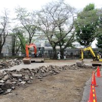下総「国庁」発見なるか　「当面最後」発掘調査始まる　市川市教委１１月半ばまで