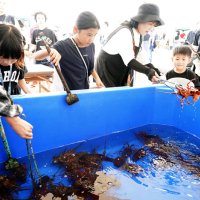 伊勢エビの祭典盛況　御宿特産の味、観光客堪能　販売、つかみ取り、汁物配布…