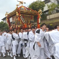 勇壮な掛け声とともに街を渡御する麻賀多神社の大神輿＝１０日、佐倉市