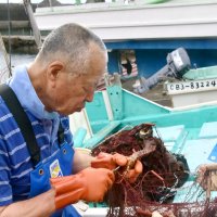 １００年超続く綿糸網漁　環境に優しく資源管理も　農林水産祭で総理大臣賞　鴨川市漁協太海エビ網組合
