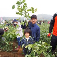 旬の枝豆たっぷり　君津「小糸在来」収穫楽しむ