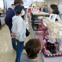 新たな“家族”迎え入れ　カインズ市原で初の保護猫譲渡会