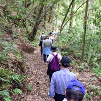 のみがね峻道開通　野見金山の周辺巡る　１周３キロ「地域の宝」　住民８年費やし整備　長南