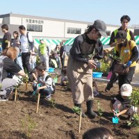 １月開庁控え植樹祭　木更津市朝日新庁舎