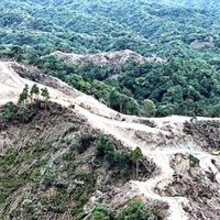 ドローンで空撮したメガソーラーの工事現場＝１９日、鴨川市（鴨川の山と川と海を守る会提供）