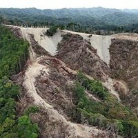 ドローンで空撮したメガソーラーの工事現場＝１９日、鴨川市（鴨川の山と川と海を守る会提供）