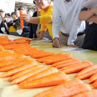 特産色濃く甘さ良く　「素材生かして食べて」　冬ニンジン出荷開始　富里