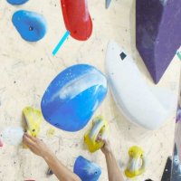 ボルダー初代王者　国別対抗戦で日本　スポーツクライミング