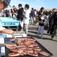 富津シーサイドマルシェ　海の幸求めにぎわい
