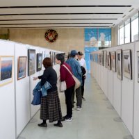 多彩な力作楽しんで　市原市写真連盟展始まる　過去最多９４人、２１５点　１１月１１日まで