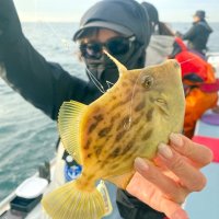 勝山カワハギ、ダブル多く　川崎テラアジ筆頭に良型も　【今週の釣果】