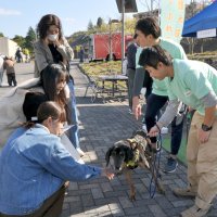 市原刑務所の矯正展では初めて保護犬譲渡会が行われた