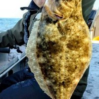 太東沖でゲットしたヒラメ（写真は「第１二三丸」提供）
