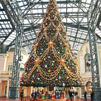 東京ディズニーランドに登場した高さ約１５メートルのクリスマスツリー＝１０日、浦安市
