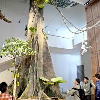 千葉市「動物科学館」サインデザイン銅賞　生き物の気配、痕跡表現