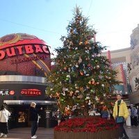 イクスピアリ内に設けられたズートピア仕様の特別クリスマスツリー。ウサギやにんじんのモチーフが装飾されている