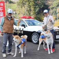 “もふもふ”で防犯啓発　東金署　秋田犬とコラボ