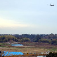 みんなで大家さん問題　許可見直し声相次ぐ　成田市議会　ＮＡＡ土地賃貸借終了で　市側、事業の動向注視