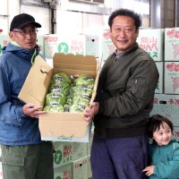 甘くてシャキシャキ　生産者、出荷作業に汗　館山　かんべレタス