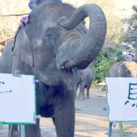 来年の干支「午」と「馬」の漢字を書き上げご機嫌の「ゆめ花」＝２６日、市原市の「市原ぞうの国」