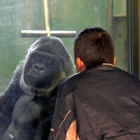 人混み苦手、でもきょうは…　貸切動物園　心ゆくまで　千葉市、障害ある子どもら招待