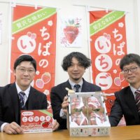 千葉のイチゴ今冬も手応え　寒さ本格化、甘みに期待　県内生産者シーズン前にＰＲ