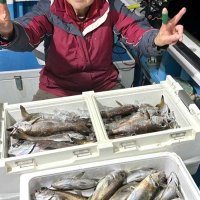 洲崎南クロムツ食い良し　竹岡、保田カワハギ好調　【今週の釣果】