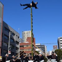 伝統大技魅せる　船橋　新春恒例「はしご乗り」