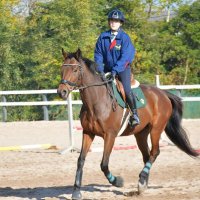 馬場でさっそうと走るカタールパールと息を合わせる篠崎さん
