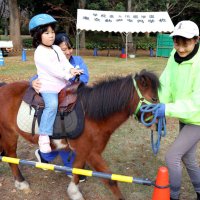 「馬のまち」掲げ振興　イベントで集客、郷土愛醸成　富里市と民間団体　【房総うま物語】（１４）