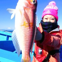 館山沖で釣り上げたアマダイ（写真は「真澄丸」提供）