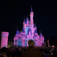 プロジェクションマッピングでピンク色や水玉模様などに染まったシンデレラ城＝１３日、浦安市の東京ディズニーランド