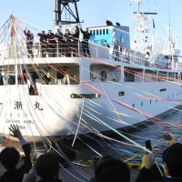 海洋実習ハワイ沖へ　館山総合高生９人　「一人前のシーマンに」