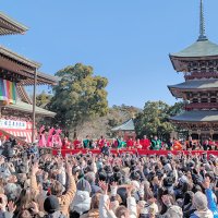 【写真多数】大河俳優ら「福は内」　團十郎さん親子、横綱も　成田山新勝寺節分会に６万人