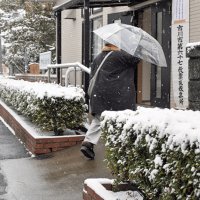投開票日に警報　房総大雪、転倒や事故２２人負傷　千葉市４年ぶり積雪５センチ