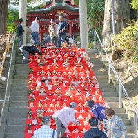 里山舞台にひな飾り　２１日、市原南部で祭り開幕　住民ら準備、成功祈願