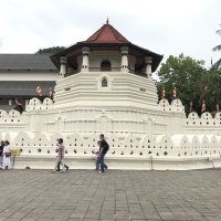 激しすぎる競争社会　スリランカへの旅（２）　【鳥光宏の旅と文学】（４０）	