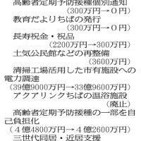 見直した主な事業