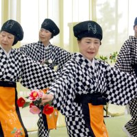 「大島あんこ椿」の踊りを披露する「里喜本社中」の団員＝大島町元町の元町港船客待合所
