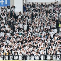 【写真多数】球春マリン“ファンの海”　コーチ手腕や長距離砲期待　プロ野球開幕、千葉ロッテ躍動