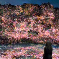 夜の養老渓谷にデジタルアート　１７日から、チームラボ上映・展示