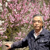 花桃を植栽し、散策コース整備した江沢さん